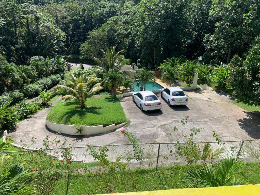 Tha Lagoon Spot ポート・アントニオ エクステリア 写真