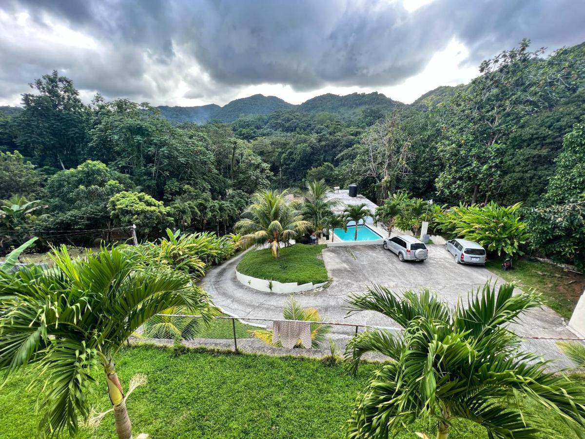 Tha Lagoon Spot ポート・アントニオ エクステリア 写真